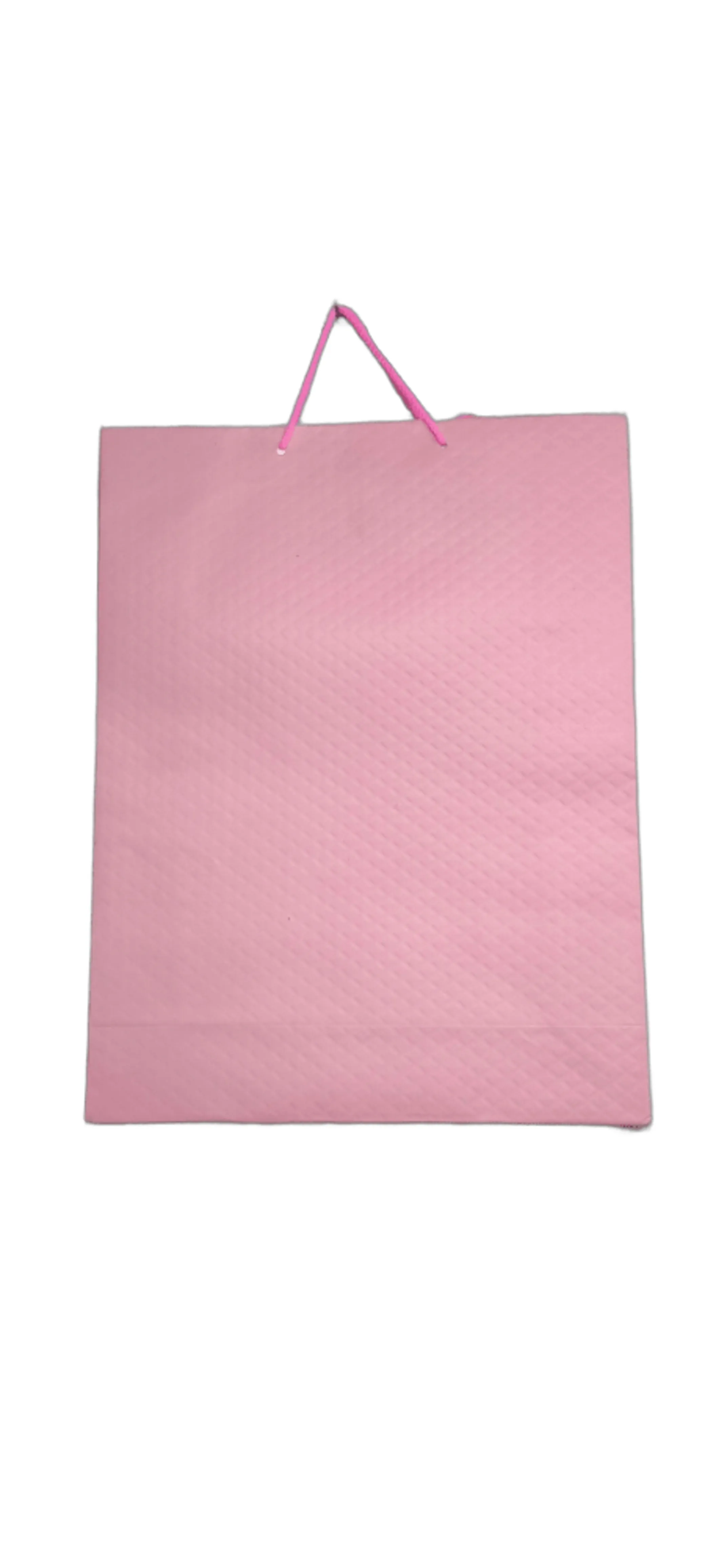 Premium Strength Paper Carry Bags