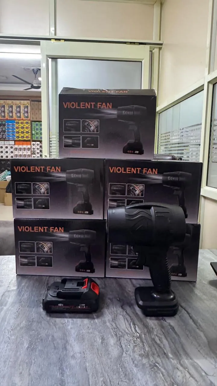 Violent fan